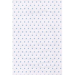 Saco 30X45 - C/ 25 Un - Estrela Azul